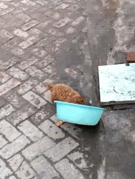 学日语被骂是活该吗,当你学日语被误会成汉奸