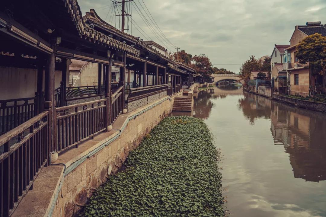 朱家角古镇和新场古镇哪个大一点,新场古镇和朱家角哪里好吃的多