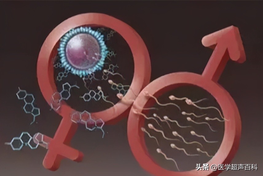 备孕检查优生优育什么时候去检查,优生优育备孕最佳方法