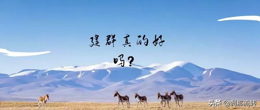 建群有什么好处和坏处,建群和排名有关系吗