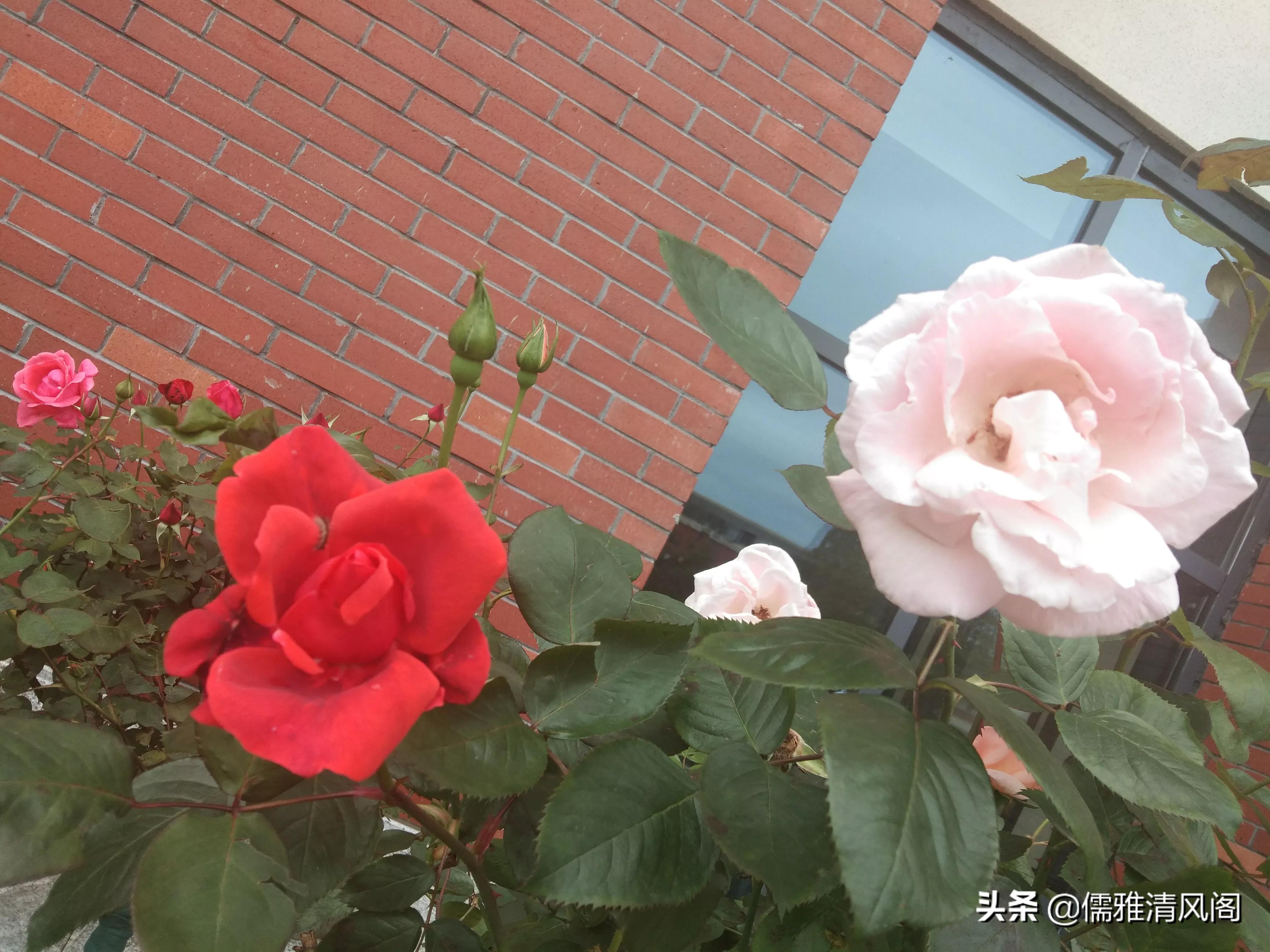 微小说讽刺哲理,微小说的优点