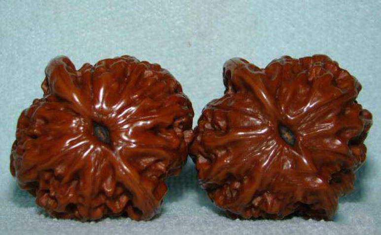 文玩核桃该不该封脐,核桃如何用绿松石封脐