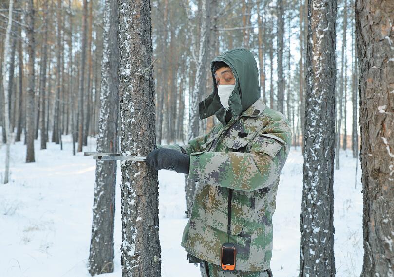 行走在冷冽的寒风中完整版,行走在冷冽的寒风中