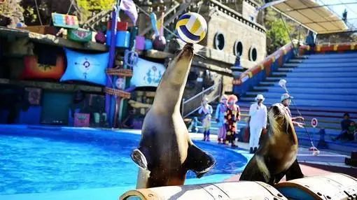 大连金石滩冬天一路美景,漫步在大连金石滩的黄金海岸