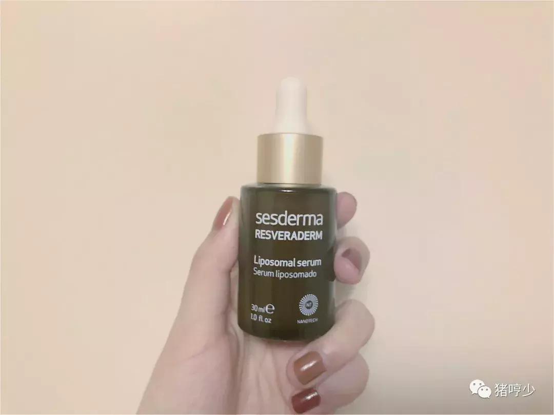 编辑部要学点什么,编辑部都有什么东西