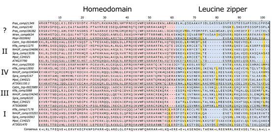 基因方面发10分sci什么水平,如何进行基因进化分析