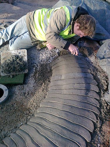 云南虫谷不死虫怎么死的,霍氏不死虫怎么产生的