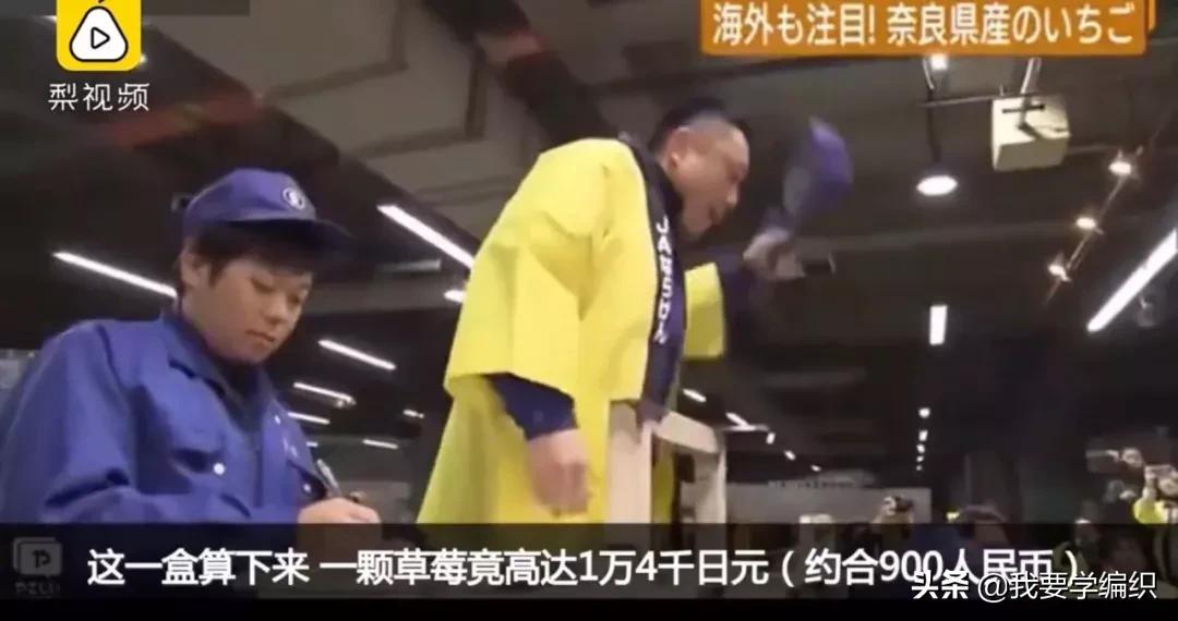 日本天价水果上热搜，苹果100元一个！中国老农却种出奶油富士