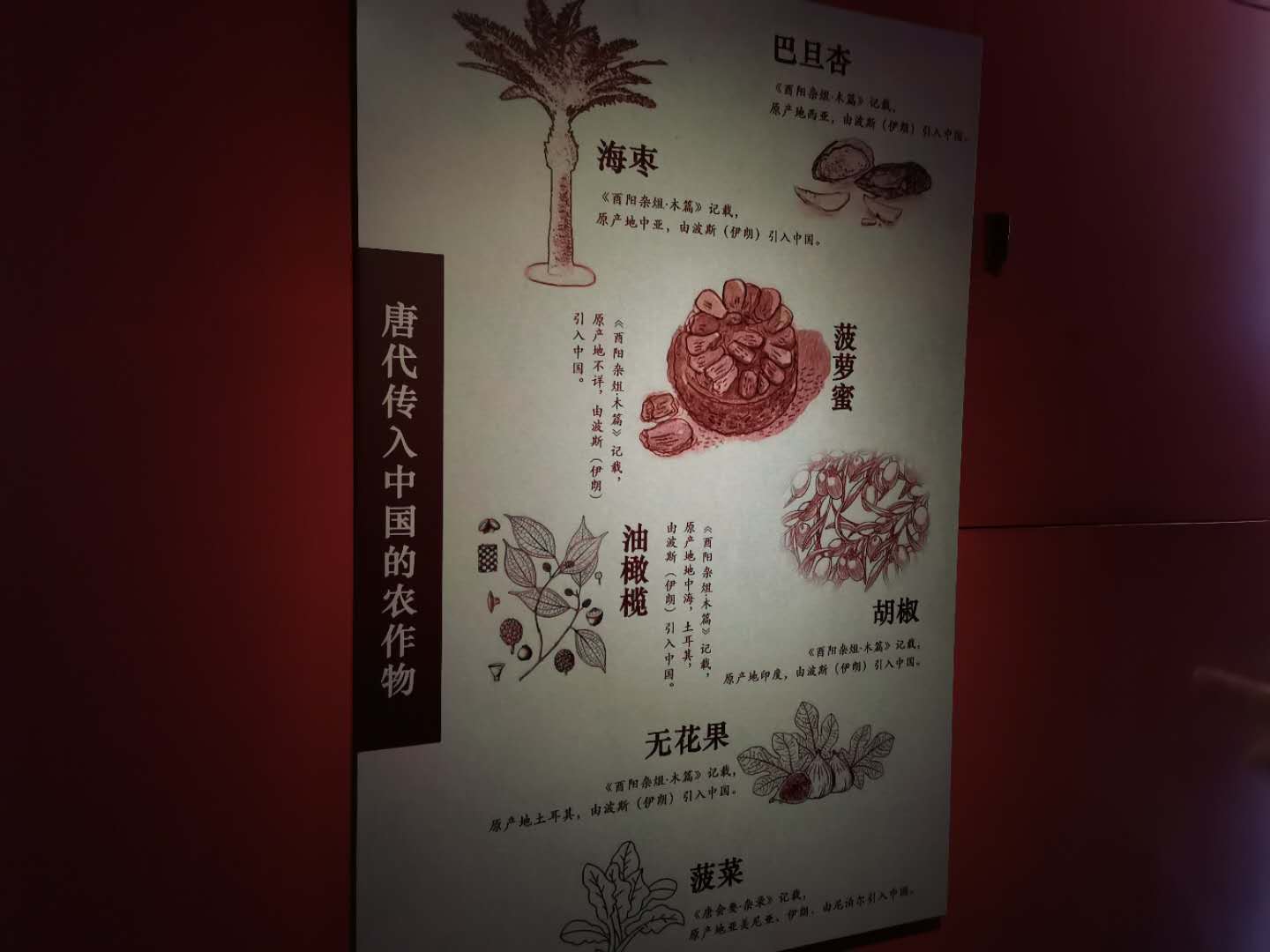 呼和浩特昭君博物院:中外驰名西汉古墓――昭君墓