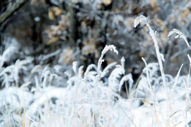 冬季的长白到底有多美？