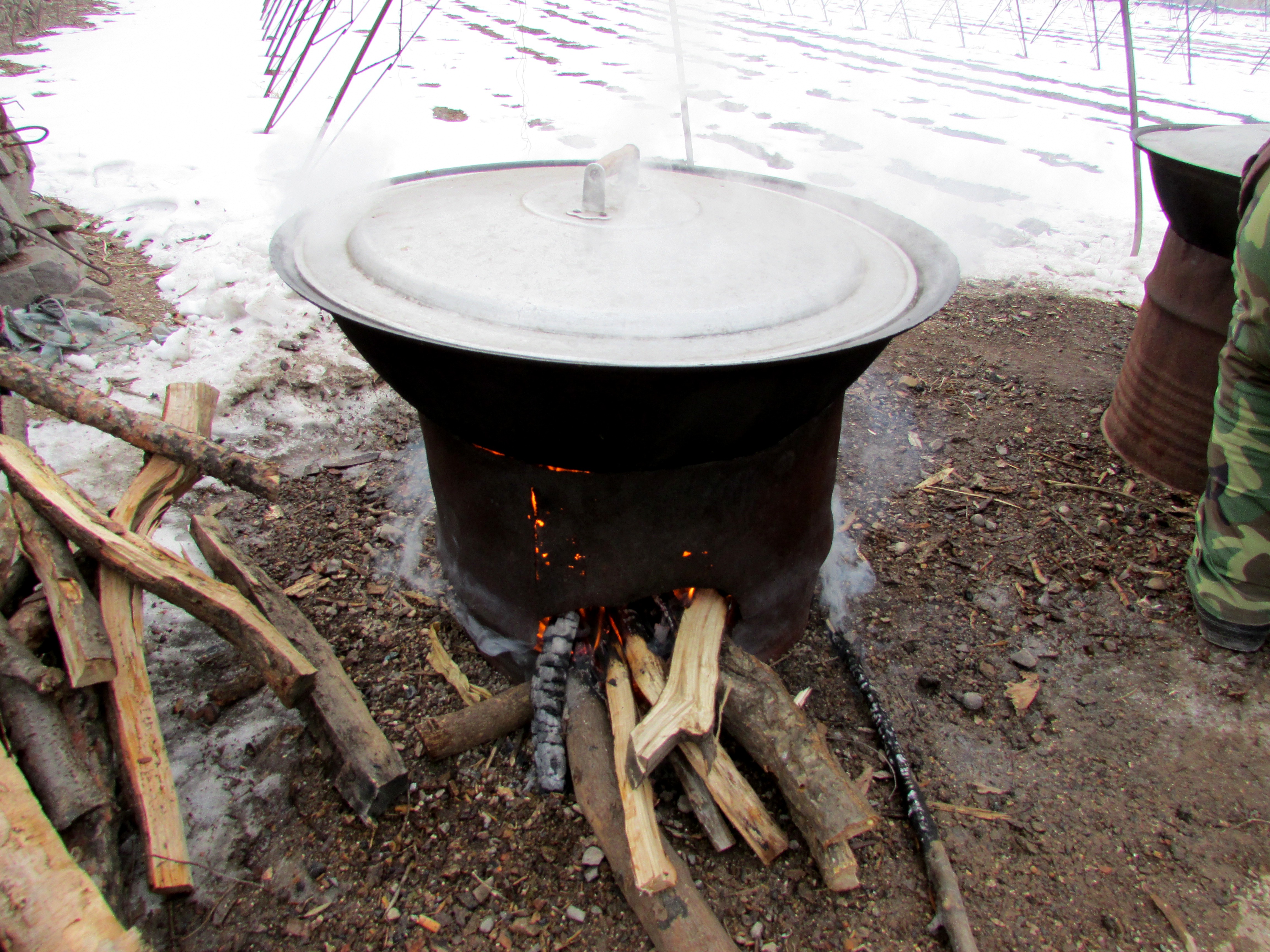 东北杀年猪来吃猪肉,老东北杀年猪
