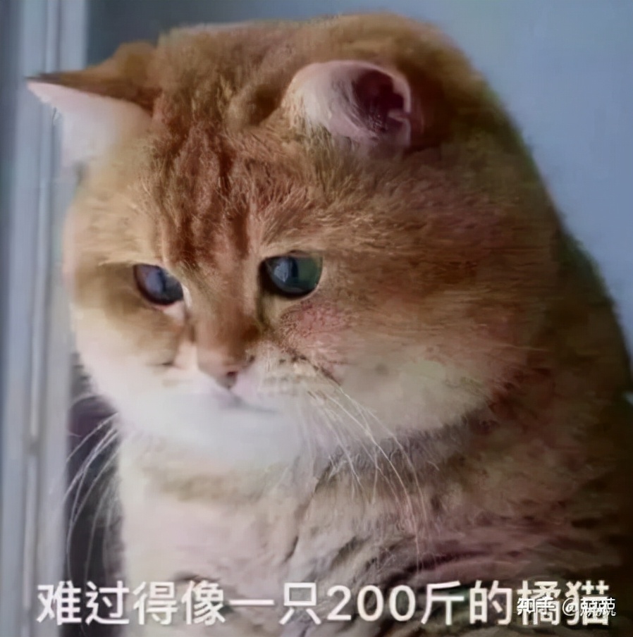 威克士212测评,威克士we212电钻开关配件