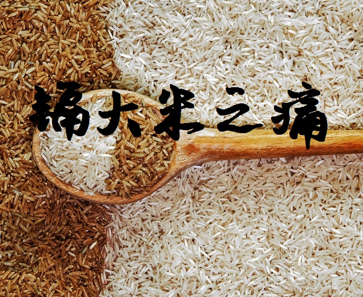 舌尖上的安全感悟,舌尖上的安全全册