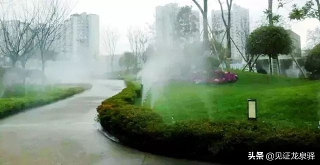 四川省NO.1！龙泉驿凭什么能获全国绿色发展百强区？背后竟藏着这样的秘密~