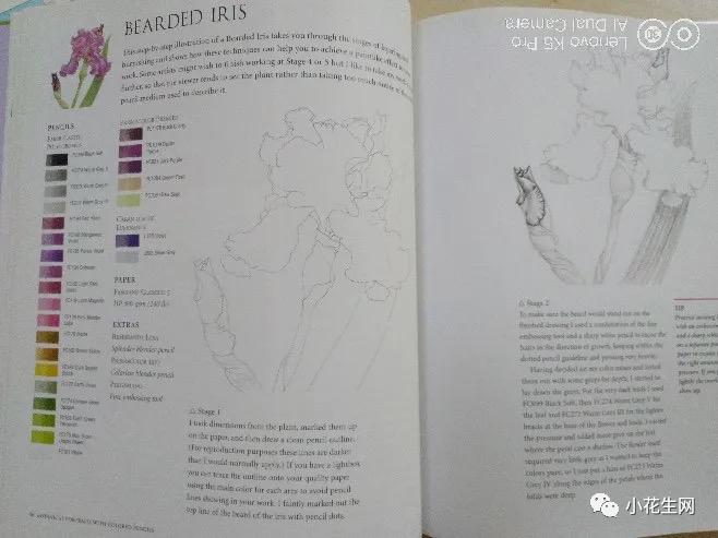 从零开始学绘画必备的画,从零开始学绘画第一步教程