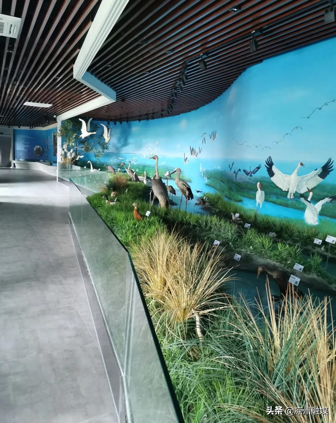 武威六中录取名单2021初中,武威第六中学体考