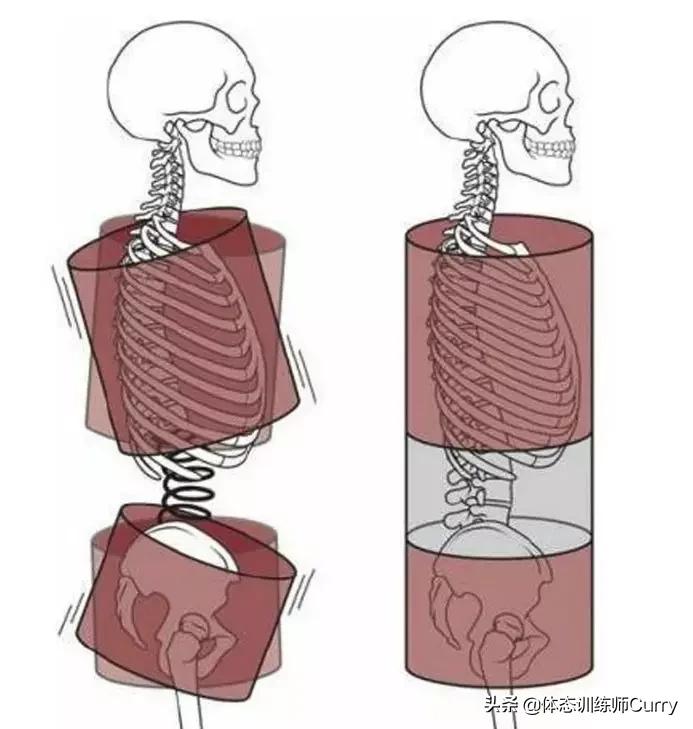 胸大但是瘦是什么原因,又瘦又有胸怎么回事