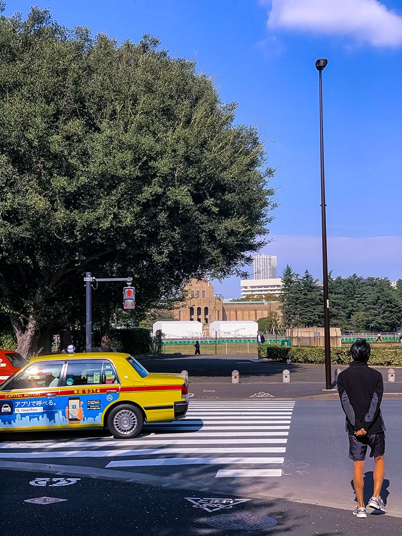 日本旅行注意事项及建议,旅行指南系列日本