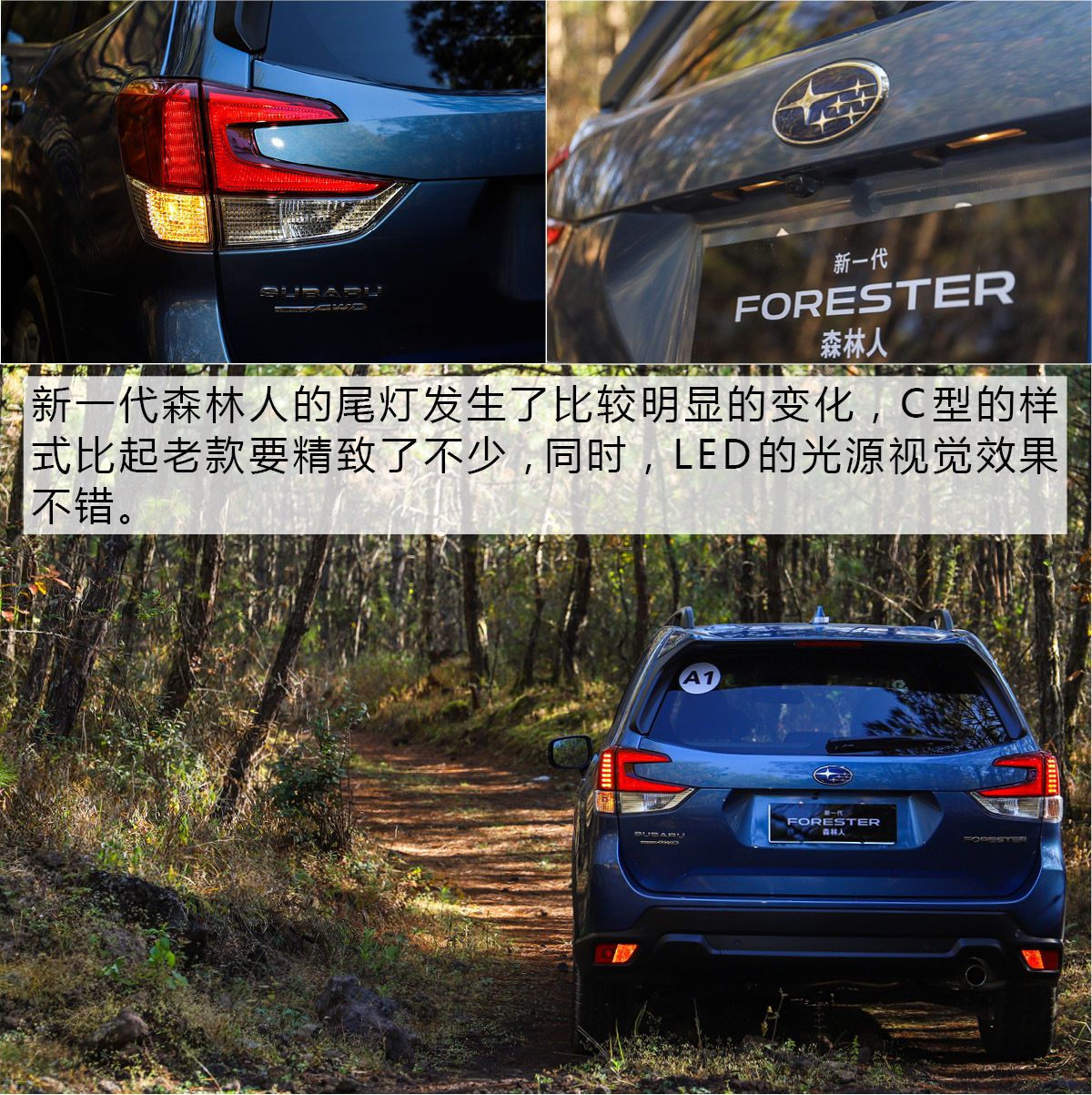 斯巴鲁森林人2024款深度试驾,斯巴鲁森林人技术