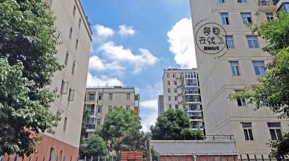 钘忎笉浣忎簡鐪熼潰鐩畬鏁寸増,钘忎笉浣忎簡杩欐墠鏄湡姝g殑鑷繁