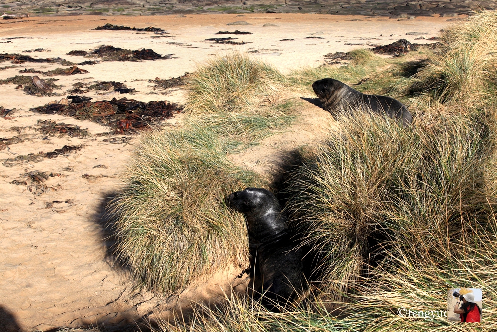 新西兰有哪些景观,新西兰风景最好的地方在哪里