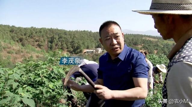 他因一句话改行进荒山，凭它一年卖出5000万