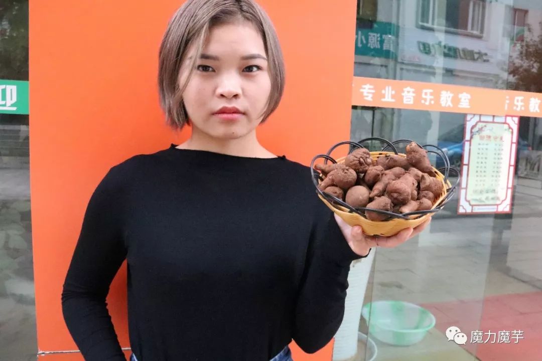 种植魔芋风险大吗,新手种魔芋的风险