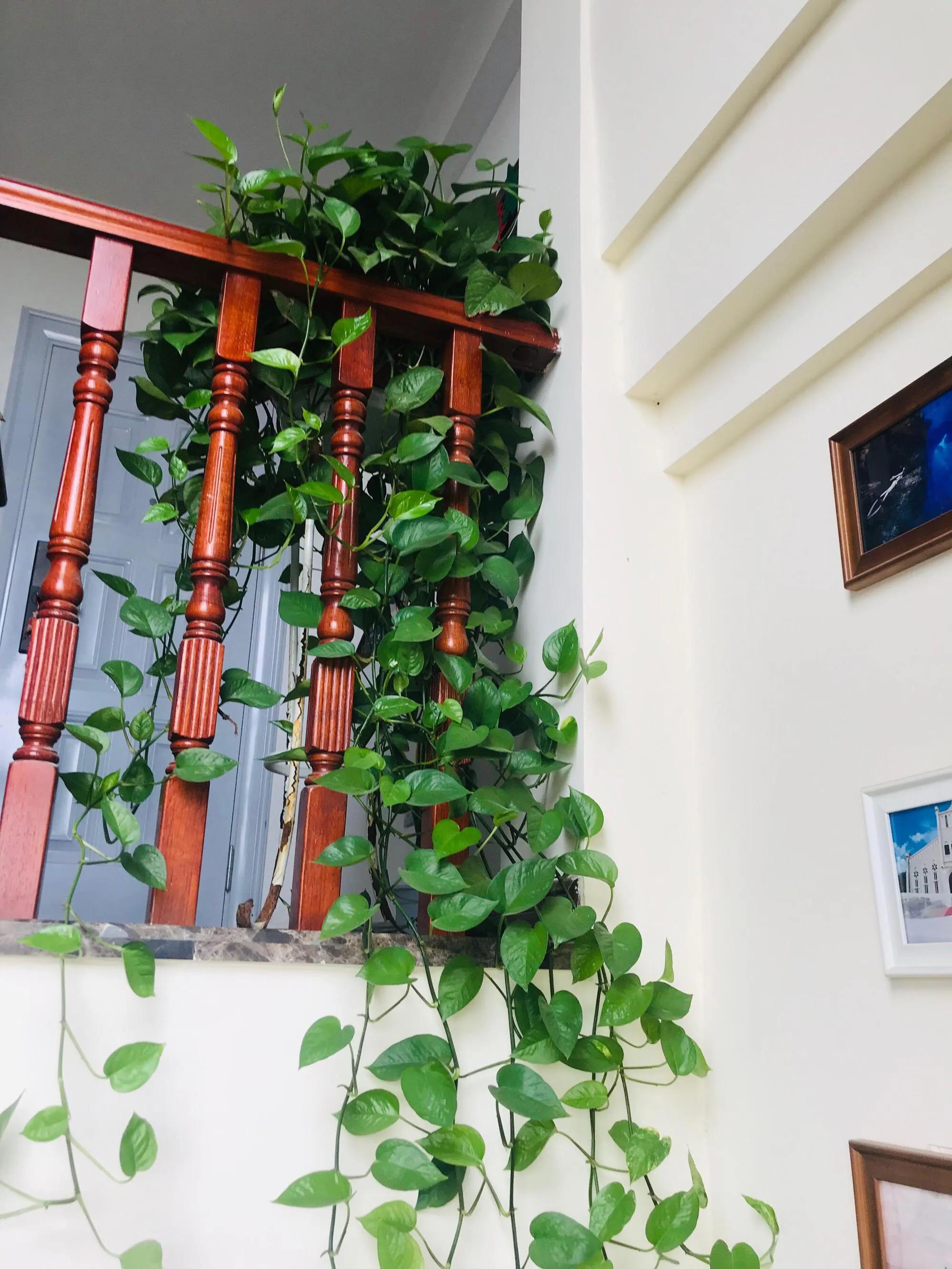 钟点工卫生方面,钟点工打扫卫生做什么