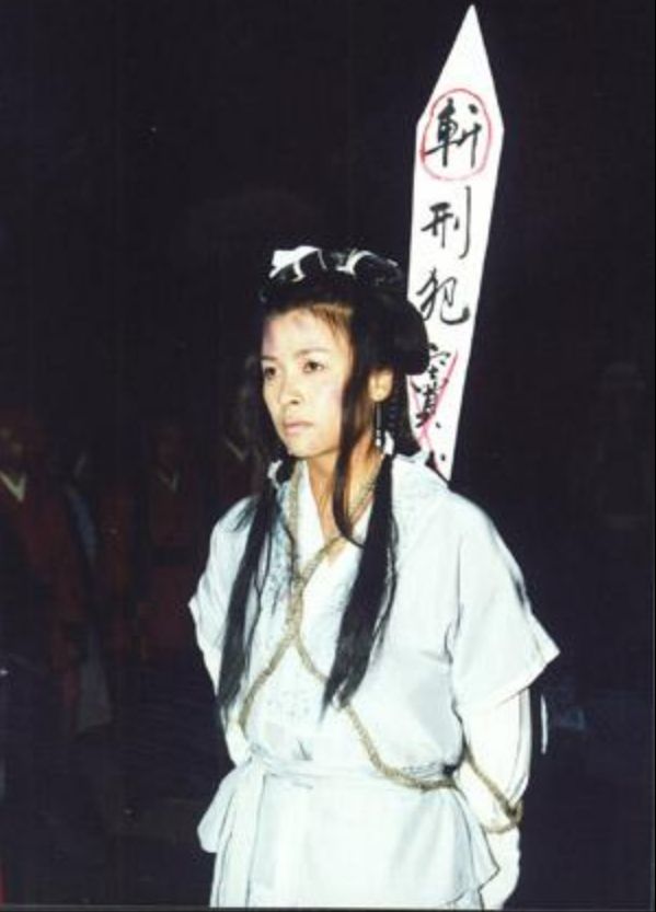 窦娥冤悲剧形象分析,窦娥冤的悲剧色彩及艺术特色