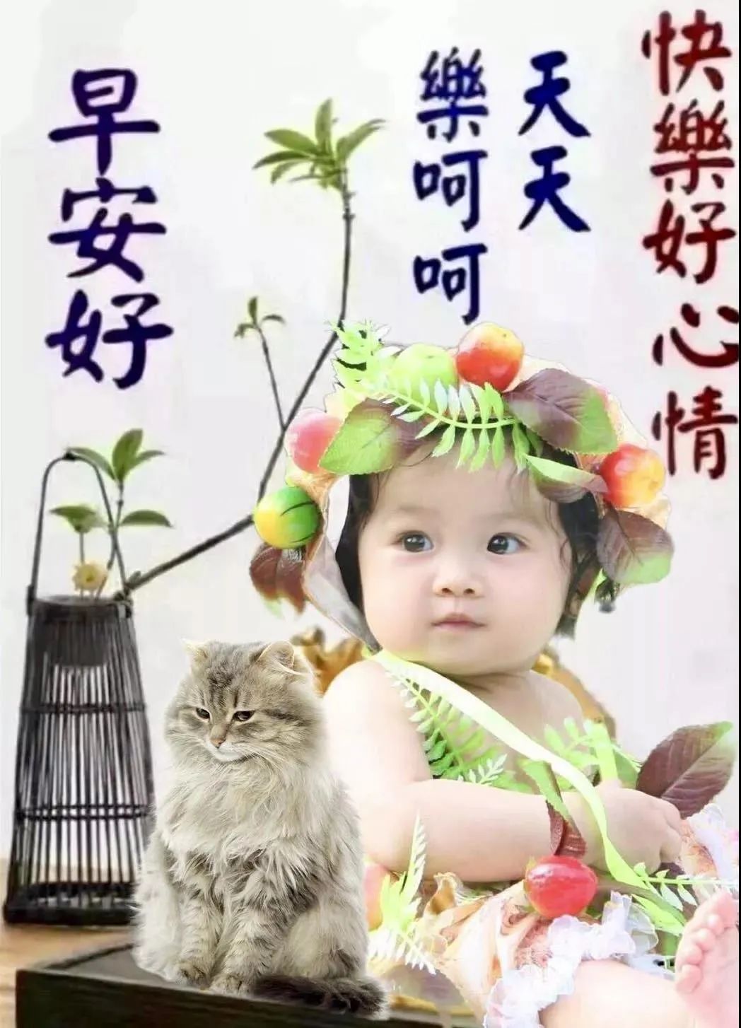 早上好图片最新漂亮图文,早上好图片最新美景