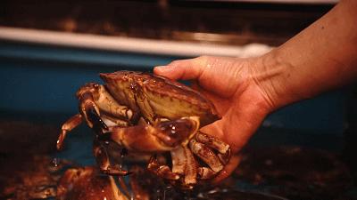 鲜嫩多汁网红的高压锅生蚝,蒜蓉生蚝罐头即食乳山生蚝