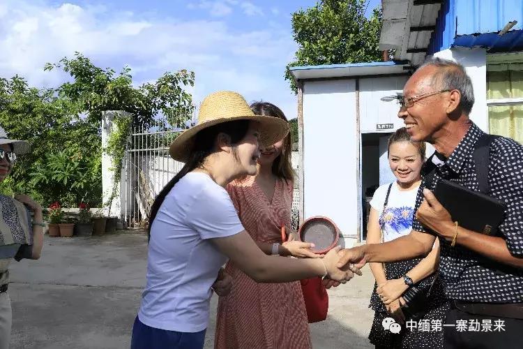 泰国顶级睡莲博士Dr.Nopchai版纳行,被勐景来圈粉