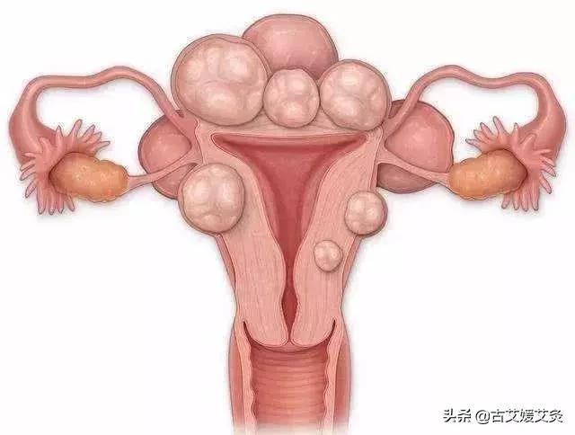 被西医套路的中医,被西医承认的中医