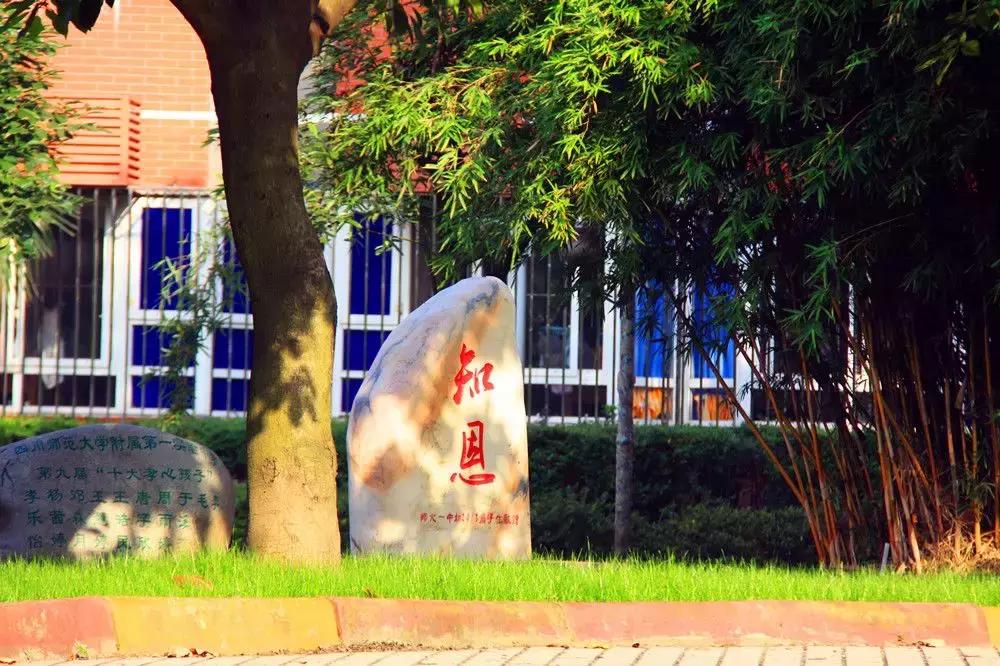 师大一中中考率是多少,师大一中2023重点率