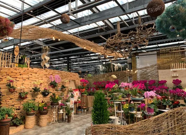 小编整理！丰台四大花市逛买攻略！春节就要这喜庆劲儿