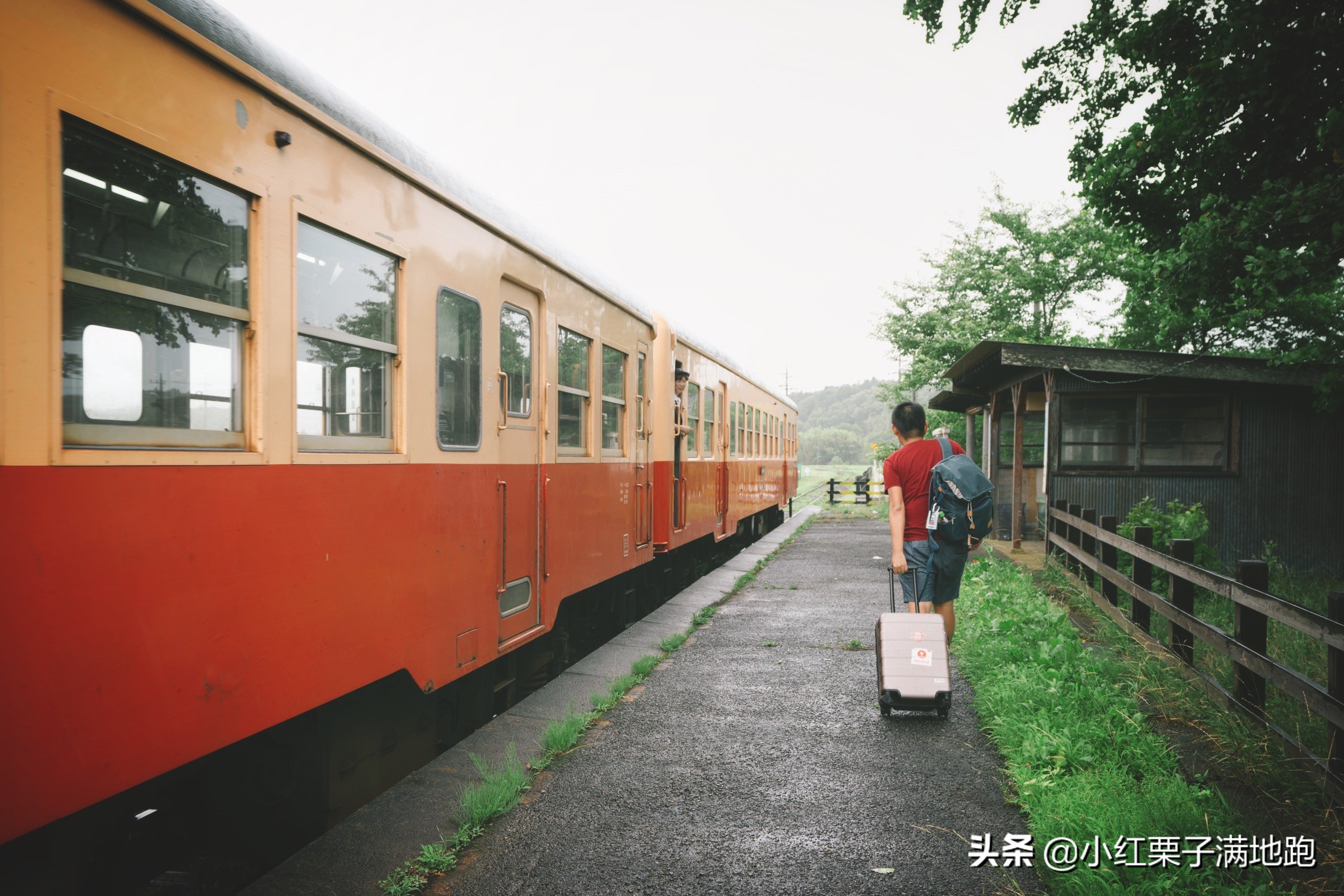 千叶县紫阳花开，如何一边体验火车之旅一边拍摄铁道风景？