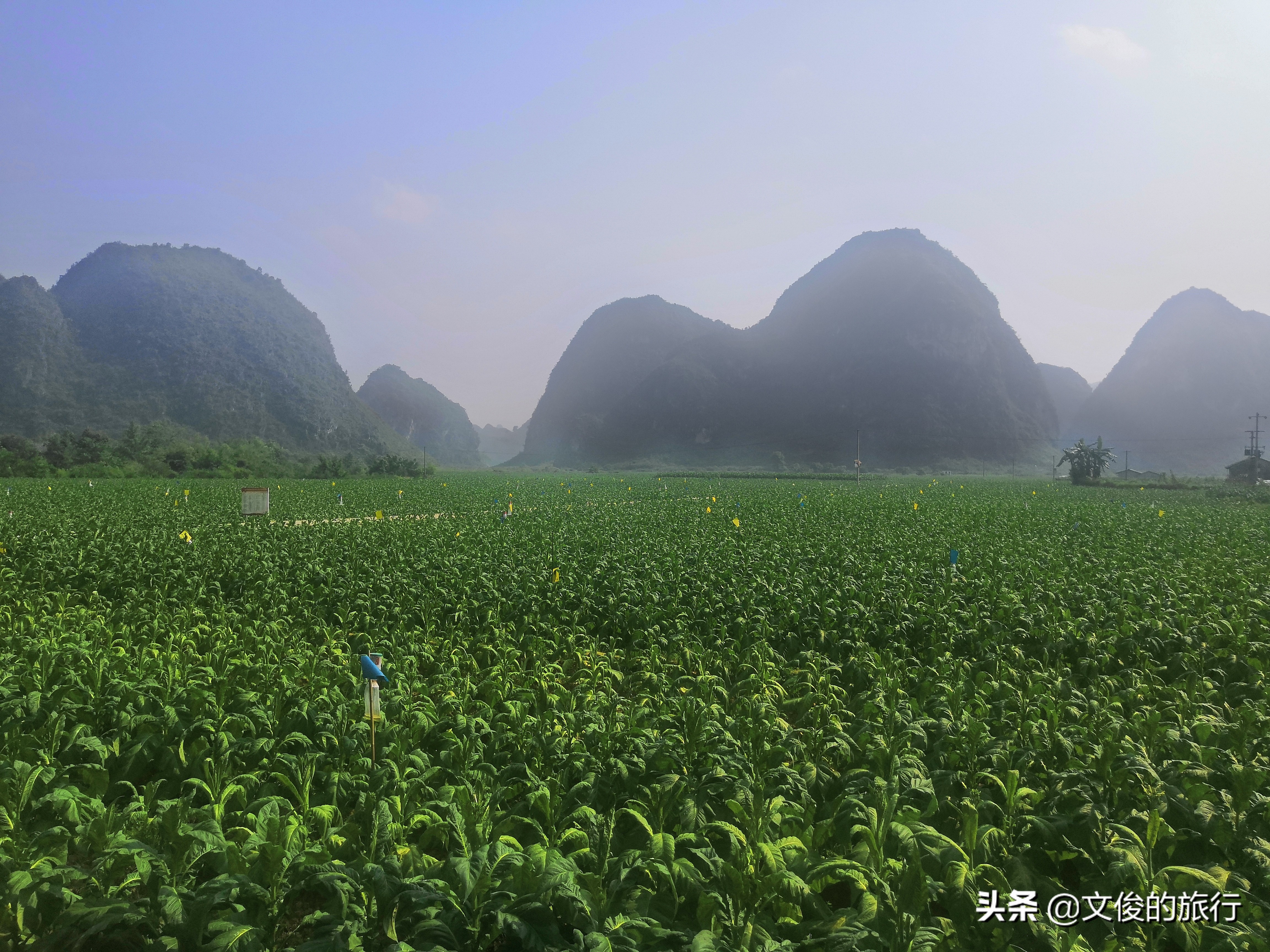 靖西两天一夜旅游,靖西旅游景点靖西锦绣古镇