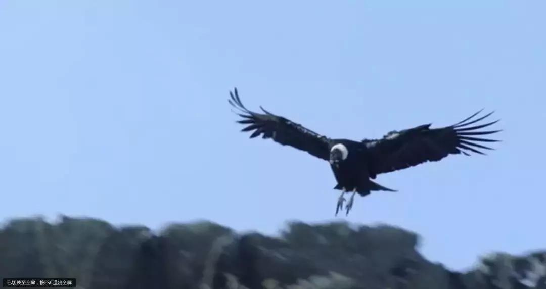地球的另一端长什么样,地球另一端的意思