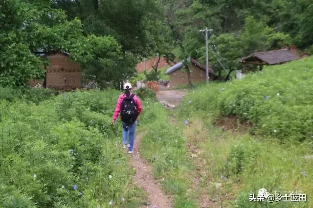 蓝田靳洪涛图文：蓝田葫芦岔一个值得去的地方