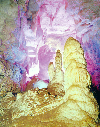 新型农业综合体,新型农业综合体是什么