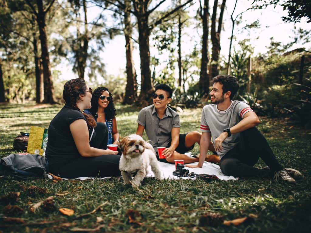 摆脱社交困难最好的方法,如何缓解你的社交压力