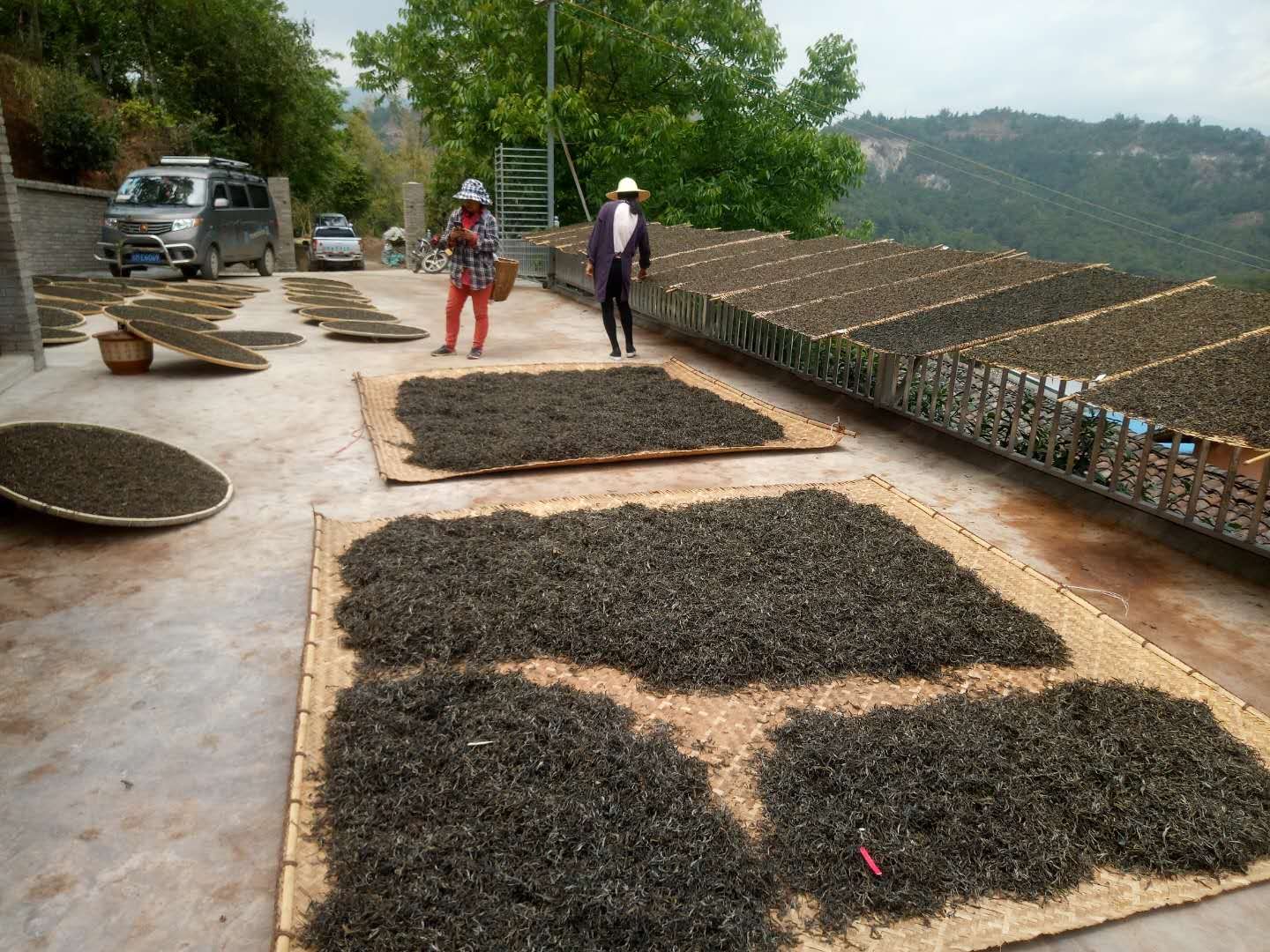 昌宁产业扶贫取得新成效,昌宁县农业脱贫项目