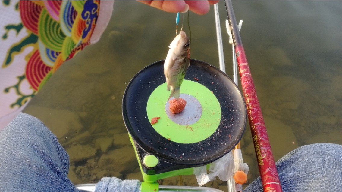 红虫蚯蚓颗粒搓饵拉饵哪种好,野钓用饵的配方