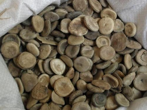 古代的毒药叫什么,中国古代十大毒药出自哪本书