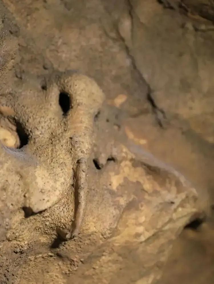 河南鹤壁峡谷最好玩的地方,河南鹤壁旅游景点图片欣赏