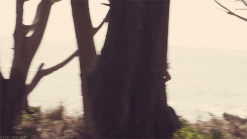 偏方差点害了孩子,这些偏方你教过孩子吗