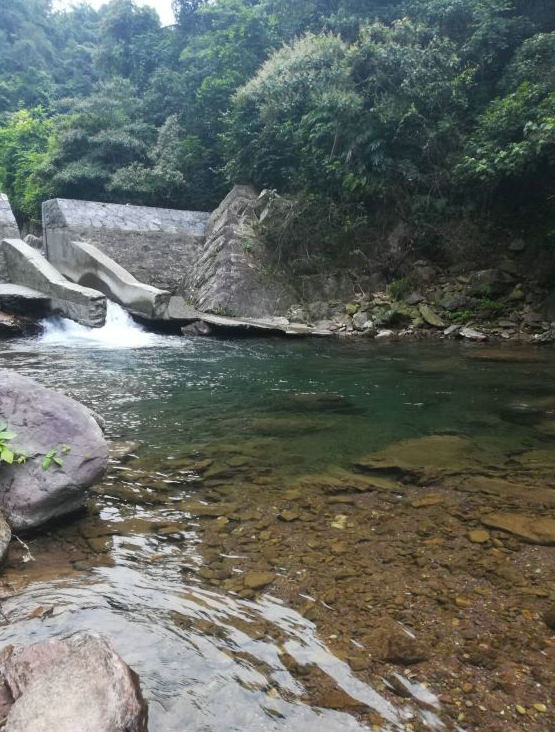 南充钓友钓到娃娃鱼,钓到娃娃鱼放生