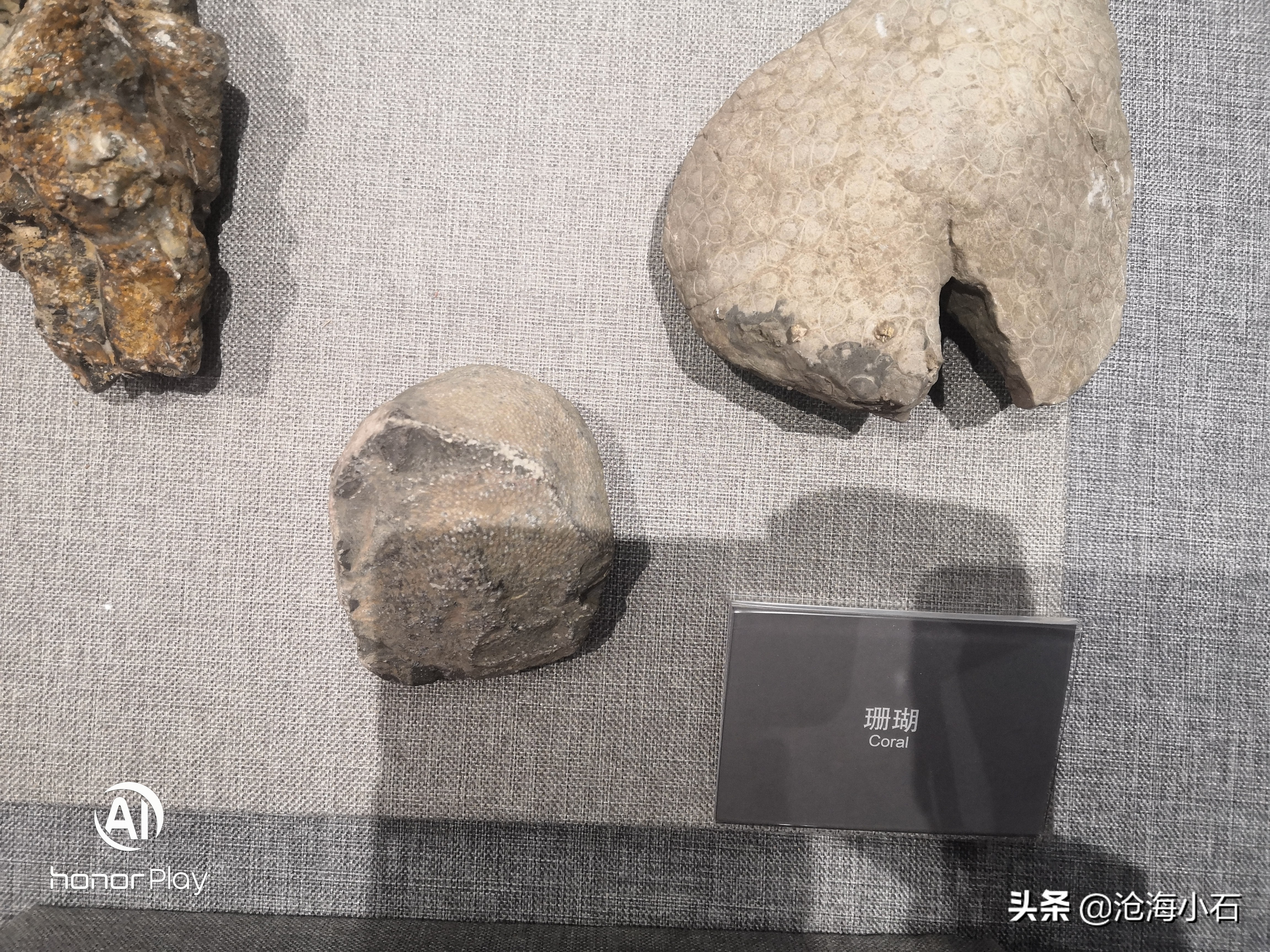 有哪些石头不要扔,十种不能捡的石头图片