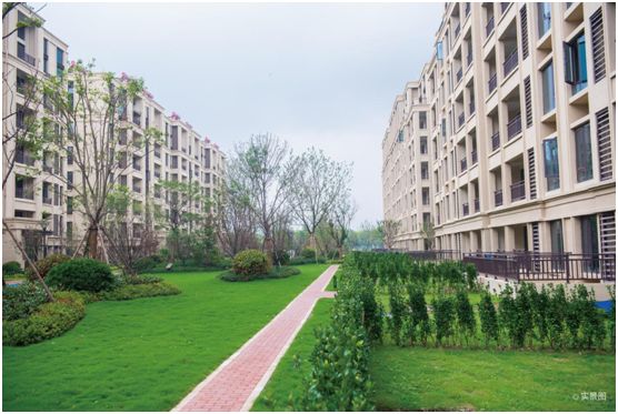 从普罗旺斯看紫色花海,从普罗旺斯到柳沙公园怎么走