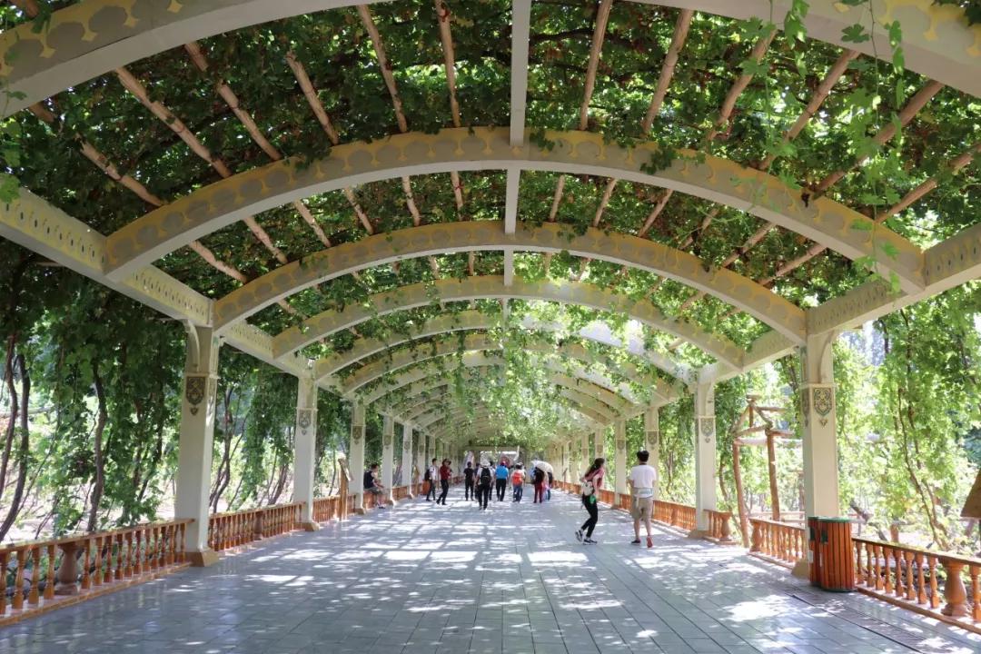 云旅游带你看遍天下美景,一起去旅行吧旅游